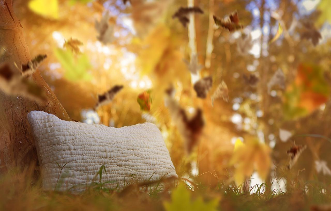 Natural Textured Wool Accent Pillow - Image 3